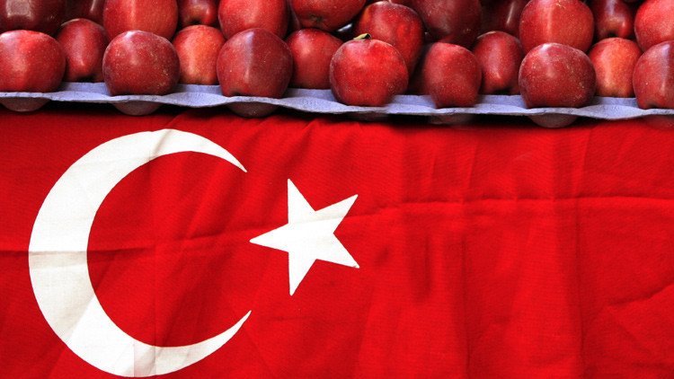 Rusia impone sanciones a Turquía por el derribo del Su-24 en Siria