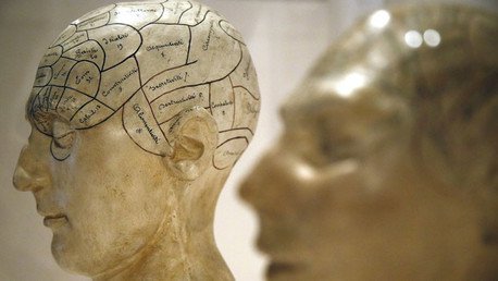 Científicos descubren el factor clave que determina el nivel de ingresos