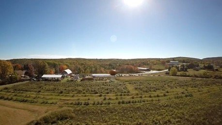 Un ‘quadcopter’ es derribado por una calabaza lanzada por un cañón
