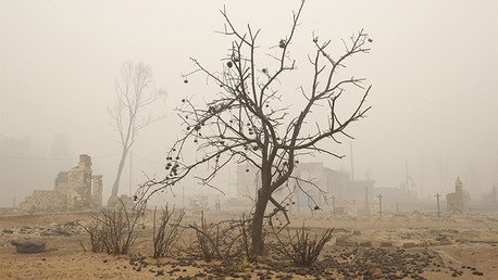 200 millones de estadounidenses sufrirán graves problemas mentales por el cambio climático