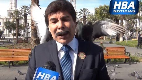 Habla sobre erradicar las palomas y ellas lo atacan 
