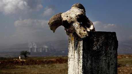 Gran Mortandad: Hallazgos inesperados reformulan la teoría sobre la mayor extinción en la Tierra