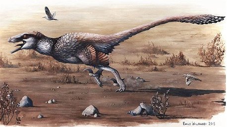 'Nace' el mayor raptor con plumas