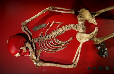 ¿Puede el cerebro fosilizarse?