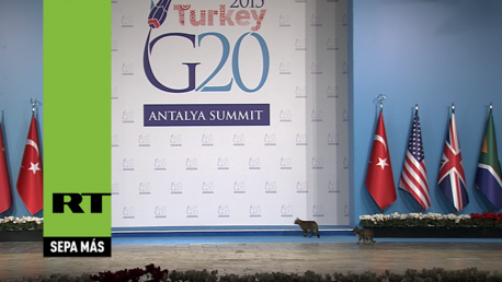 Conozca la delegación secreta de la cumbre G20