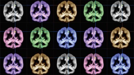 Científicos descubren dónde se halla la felicidad