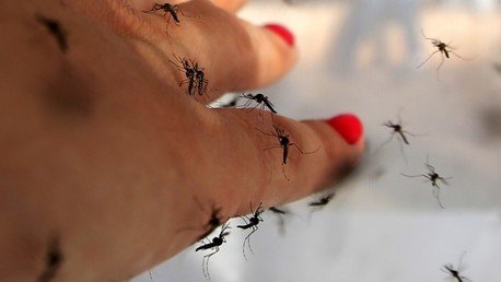 Bebés en peligro: los casos de microcefalia aumentan en Latinoamérica 
