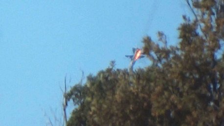 Nuevo video: La caída del avión ruso vista desde las posiciones de los rebeldes en Siria