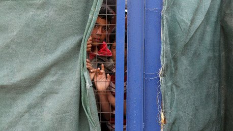 ¡Bienvenidos!: Los neerlandeses 'reciben' a los refugiados con cabezas de cerdo (Video fuerte)