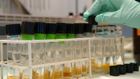 Hacia el fin del cáncer: ¿por qué la lucha contra la enfermedad cambiará en 2016?