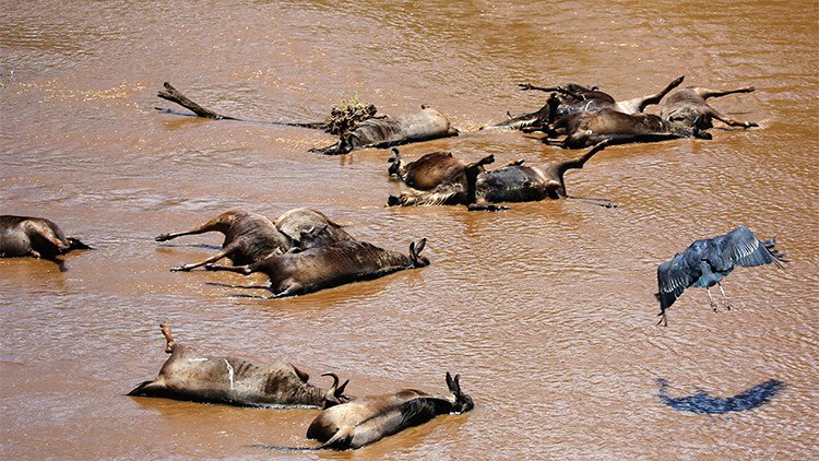Los seres humanos provocaron un nefasto cambio en la Tierra hace 6.000 años