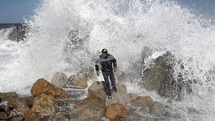 La estupidez no tiene límites: Psicólogos revelan la existencia de varios tipos 