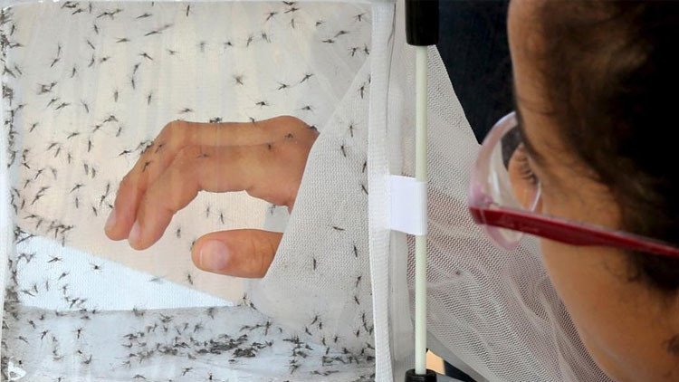 El mal del 2015: Las 5 enfermedades que impactaron a Latinoamérica este año  