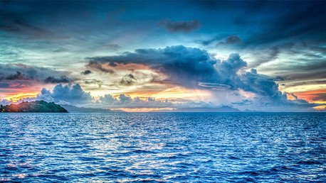 ¿Señal de peligro?: El rápido aumento de las algas marinas puede indicar un incremento del CO2