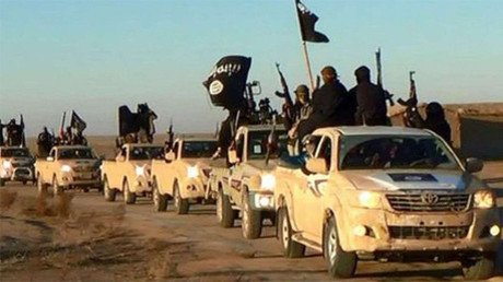 Congesista de EE.UU.: "Turquía está fortaleciendo al Estado Islámico"