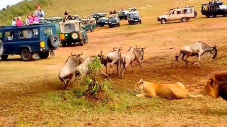 La diferencia entre hombres y mujeres a la hora de decidir qué comer