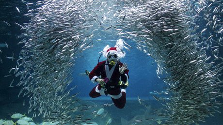 Siete días en quince imágenes: fotos que resumen una semana