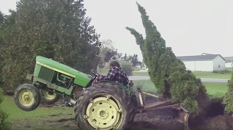 Los árboles se vengan de los humanos: recopilación de videos que te matará de la risa