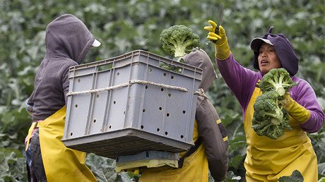 "América Latina aumentará los suministros agrícolas a Rusia pese a la presión de Occidente"