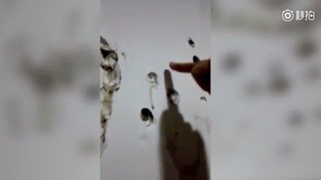 Un chino con habilidades ‘sobrehumanas’: deforma una pared con un dedo 