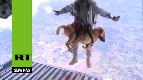 Perros paracaidistas de la Fuerza Aérea de Colombia 