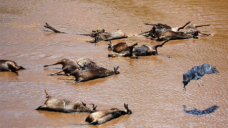 Los seres humanos provocaron un nefasto cambio en la Tierra hace 6.000 años