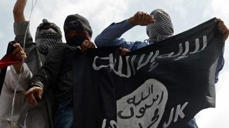 ¿Demasiado Angry Birds? Un seguidor del EI propone usar pájaros para derribar aviones