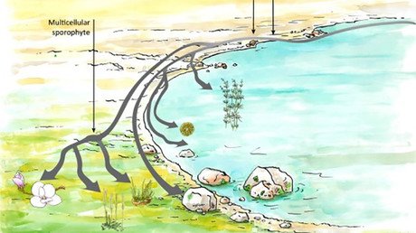 El último descubrimiento de la biología refuta lo que nos cuentan los libros de texto