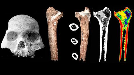 Descubren una nueva especie humana