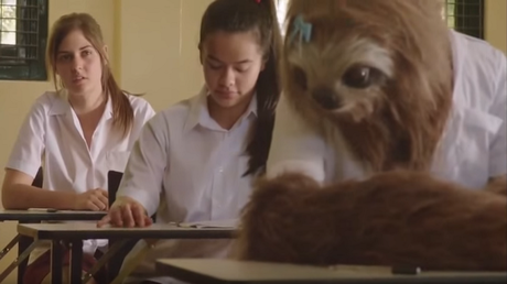 ¿Perezoso o joven bajo los efectos de la marihuana? Así es esta peculiar campaña antidrogas