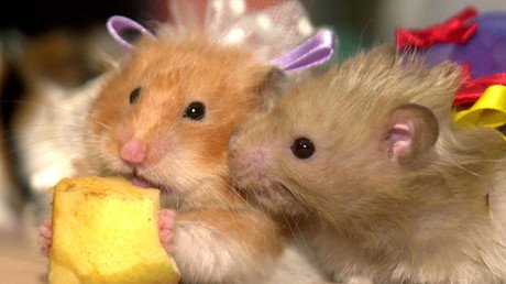 ¿Qué está mal visto regalar en distintas partes el mundo?