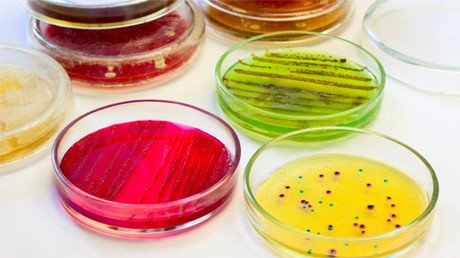 Moderna 'Arca de Noé': Rusia creará la primera base de datos del planeta con muestras biológicas