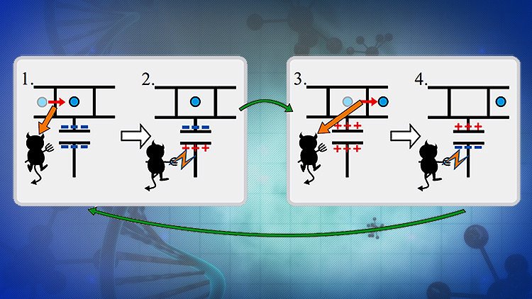  Físicos recrean por primera vez 'el demonio de Maxwell'