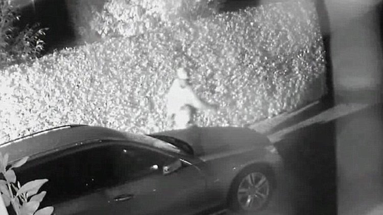 Un monje budista mata accidentalmente un insecto y pincha 190 neumáticos para calmarse 