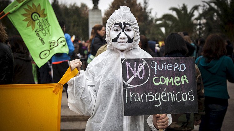 EE.UU.: Seattle demanda a Monsanto por la contaminación química de un río