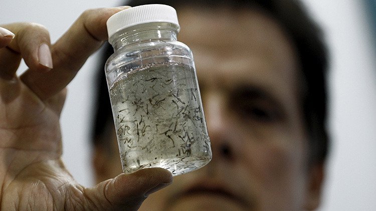 OMS: El virus del Zika "se propaga de manera explosiva"