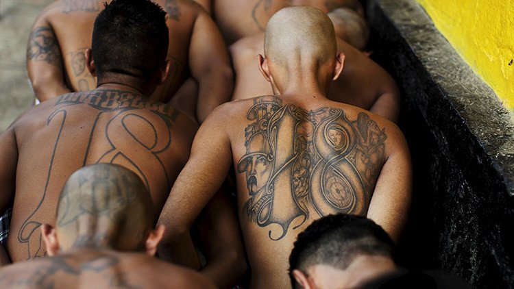 ¿Cómo operan los 'señores de la droga', las nuevas mafias latinoamericanas que rigen el mundo?