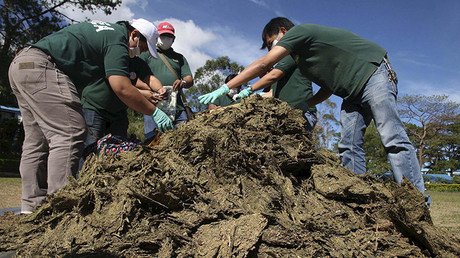 ¿Qué hace el cártel de Sinaloa en Filipinas?