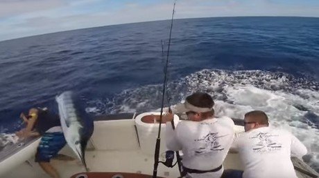 Un pescador casi muere ensartado por un pez espada