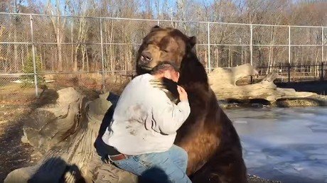 La enternecedora amistad entre un 'osito' y un hombre