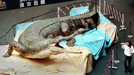 Hallan en Túnez fósiles del Machimosaurus rex, el mayor 'cocodrilo' marino jamás hallado