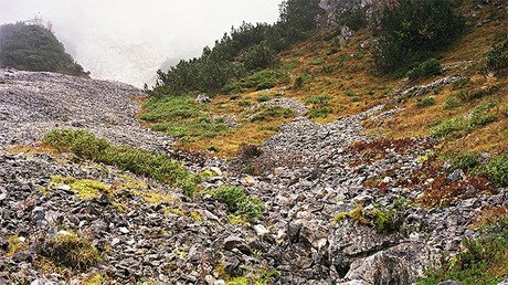 Un francotirador te está apuntando en estas fotos y no lo sabes