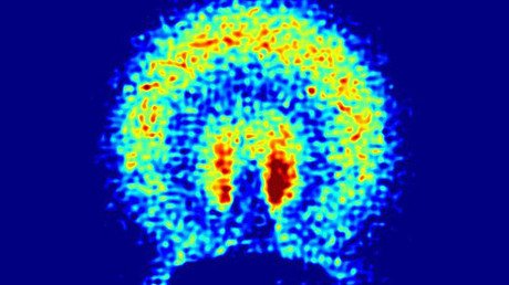 Descubren cómo circula la energía en un reactor nuclear