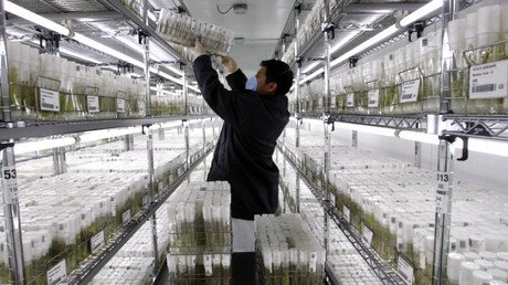 Científicos peruanos investigan para cultivar papas en Marte