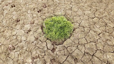 ¿Por qué Arabia Saudita compra tierras en EE.UU.?