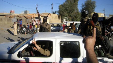 Estas son las armas que componen el arsenal del Estado Islámico