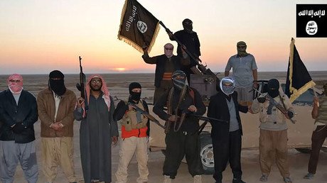 Recortan a la mitad los salarios de los terroristas del EI por "circunstancias excepcionales"