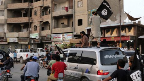 Ministra alemana de Defensa: un "Eje del Terror" se está forjando en África del Norte