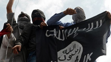 "¿La comunidad internacional no puede derrotar a dos divisiones del Estado Islámico?"