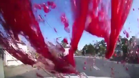 ¿Sangre o vino?: tendrá que mirar dos veces el video para entenderlo